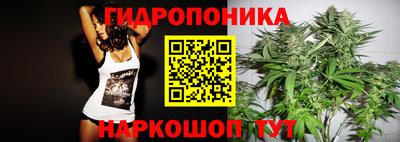 прущие крисы Бузулук