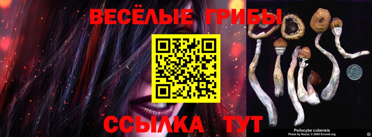 Обь  Галлюциногенные грибы GOLDEN TEACHER  Вход с VPN 